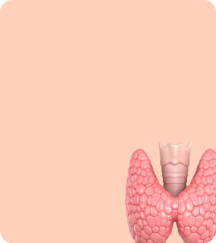 Здоровье моей щитовидной железы