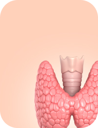 Здоровье моей щитовидной железы